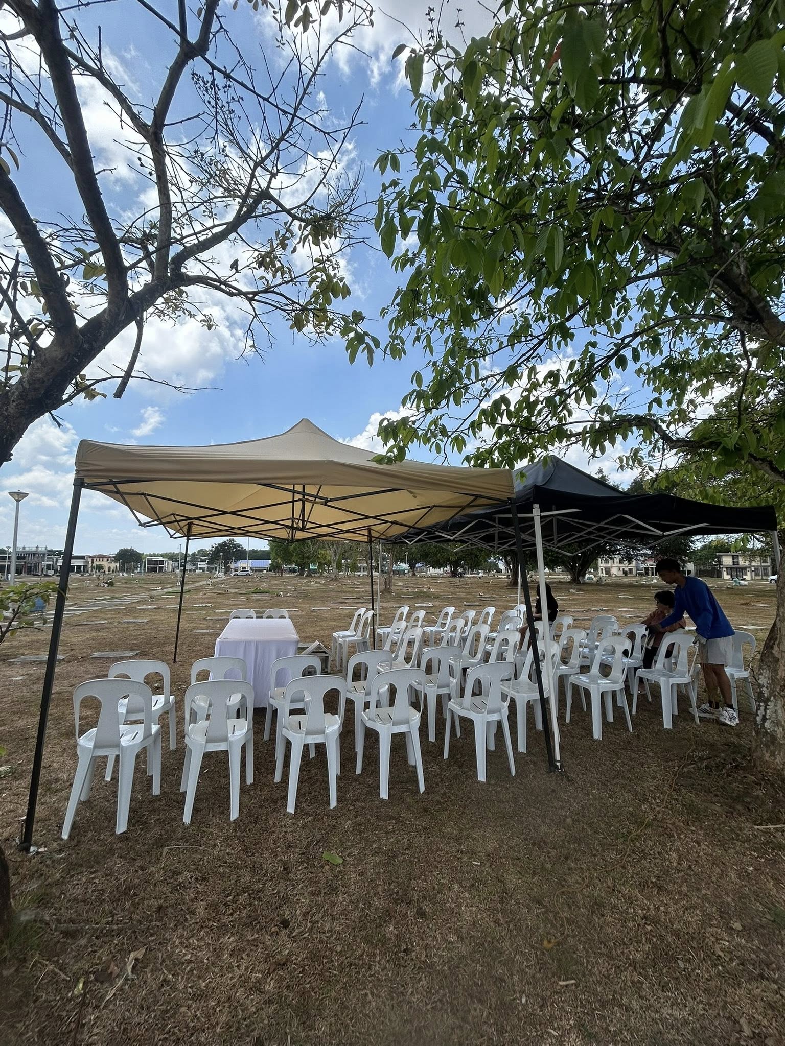 Easy Rental outdoor event setup — tan and black pop-up canopies with rows of white monobloc chairs and a white-covered table on open grassy field